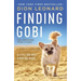Finding Gobi: A Little Dog with a Very Big Heart
