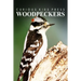 Woodpeckers - Curious Kids Press: Kids book about animals and wildlife, Children's books 4-6