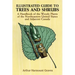 Illustrated Guide to Trees and Shrubs: A Handbook of the Woody Plants of the Northeastern United States and Adjacent Canada/Revised Edition