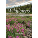 Wildflowers of Alaska and the Yukon Territory