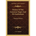 History Of The American Negro And His Institutions: Georgia Edition