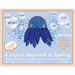 A Logical Approach To Spelling Book 3 Phonics Spelling: Spelling Phonics