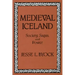 Medieval Iceland: Society, Sagas, and Power