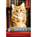 Dewey: The Small-Town Library Cat Who Touched the World