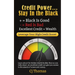 Credit Power - Stay in the Black: Excellent Credit = Wealth