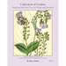 Cultivation of Comfrey; Medicinal and Food Uses for People and Livestock