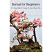 Bonsai for Beginners: An Easy Guide to Caring for Your Bonsai Tree