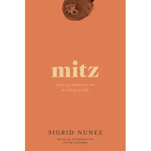 Mitz: The Marmoset of Bloomsbury
