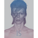 David Bowie Is: Inside the Visionary World of David Bowie
