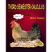 Third Semester Calculus: Student Supplement