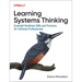 Learning Systems Thinking: Essential Nonlinear Skills and Practices for Software Professionals