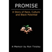 Promise - A Story of Race, Culture and Black Potential