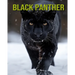 Black Panther: Fun and Educational Book for Kids with Amazing Facts and Pictures