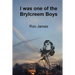 I was one of the Brylcreem Boys