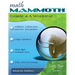 Math Mammoth Grade 4-A Worktext
