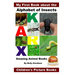 My First Book about the Alphabet of Insects - Amazing Animal Books - Children's Picture Books