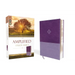 Amplified Study Bible, Imitation Leather, Purple