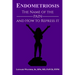 Endometriosis: The Name of the Pain and How to Repress It
