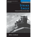 Strike Eagle: Flying the F-15e in the Gulf War