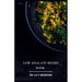 Low Oxalate Recipe Book: Kidney-Friendly Meals for a Healthy Lifestyle