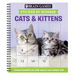 Brain Games - Sticker by Number: Cats & Kittens (Easy - Square Stickers): Create Beautiful Art with Easy to Use Sticker Fun!
