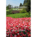 Italy's Amazing Gardens
