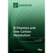B-Vitamins and One-Carbon Metabolism
