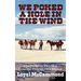 We Poked a Hole in the Wind