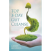 Top 3- Day Gut Cleanse