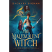 The Malevolent Witch: A Josh Kershing Novel