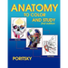 Anatomy to Color and Study 2nd Edition