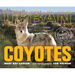 Urban Coyotes