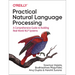 Practical Natural Language Processing: A Comprehensive Guide to Building Real-World Nlp Systems