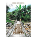 A Narrow Bridge: Awakening From Mental Illness