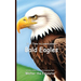 It's Time to Learn about Bald Eagles
