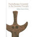 Psychotherapy Grounded in the Feminine Principle
