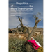 Biopolitics of the More-Than-Human: Forensic Ecologies of Violence