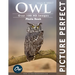 Owl: Picture Perfect Photo Book