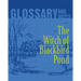 The Witch of Blackbird Pond Glossary and Notes: The Witch of Blackbird Pond