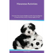 Havanese Activities Havanese Tricks, Games & Agility. Includes: Havanese Beginner to Advanced Tricks, Series of Games, Agility and More