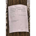 Rethinking the North American Long Poem: Form, Matter, Experiment