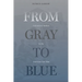 From Gray to Blue: Galvanized Yankees in the American Civil War