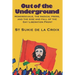 Out of the Underground: Homosexuality, The Radical Press, and the Rise and Fall of the Gay Liberation Front