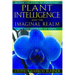 Plant Intelligence and the Imaginal Realm: Beyond the Doors of Perception Into the Dreaming of Earth