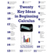 Twenty Key Ideas in Beginning Calculus