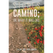 Stones on the Camino; or, What It Was Like