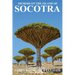 Socotra: Memoir on the Island of Socotra