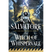 The Witch of Whispervale: The Buccaneers, Book 2