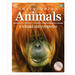 Animals: A Visual Encyclopedia of the Animal Kingdom
