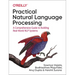 Practical Natural Language Processing: A Comprehensive Guide to Building Real-World Nlp Systems